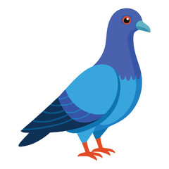illustration of a pigeon