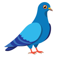 illustration of a pigeon