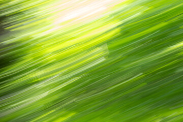 Abstract yellow green rise