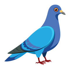 illustration of a pigeon