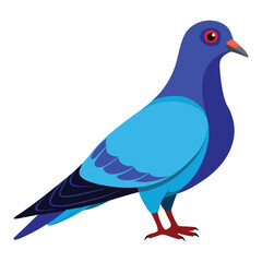 illustration of a pigeon