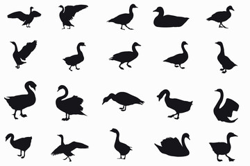 duck silhouette collection - vector