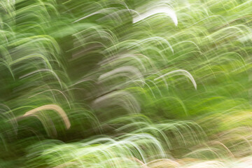 Abstract fantasy green waves