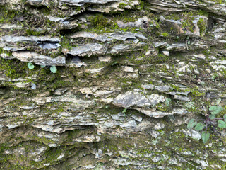 A detailed close-up of layered moss-covered rocks on a mountain slope. This rugged and textured surface showcases the natural beauty of erosion and geological formations, perfect for backgrounds.