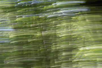 Impressionistic green strokes
