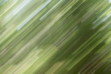 Abstract green strait strokes