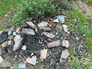 Charred remains of a campfire surrounded by scattered rocks, pinecones, and green plants in a forest setting, close up, detail, top view