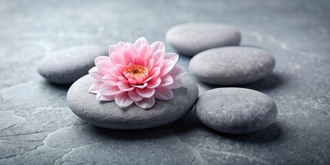 A single pink flower resting on a gray stone, surrounded by other stones, creating a peaceful and serene scene.