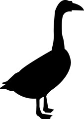 Duck silhouette collection, pool, water,