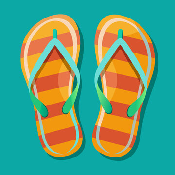 flip flops vector