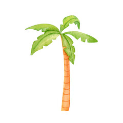 Colorful palm tree with large green leaves, illustrated in a fun cartoon style. This watercolor image is perfect for pirate-themed party decor or children's books.