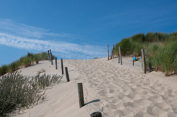 Path  with barbed wire fence through the dunes with beach grass on the North Sea coast