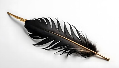 Elegant Black Feather with Gold Tip on White Background
