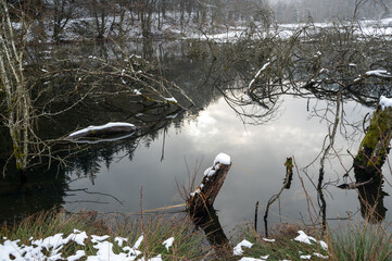 Tree trunk covered with snow in a lake with reflections in the water