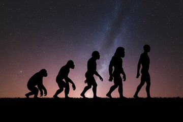 Evolution of ape to man through various stages to modern human illustration