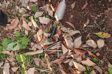 Hands planting herbs in the earth