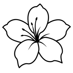 Hibiscus Flower Simple Line Art Silhouette