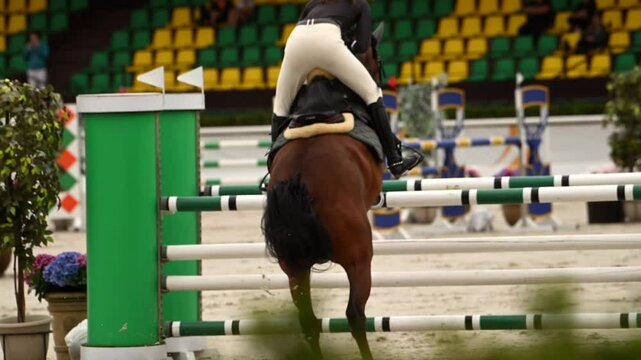 Horse and jockey showcase agility in thrilling equestrian show jumping event