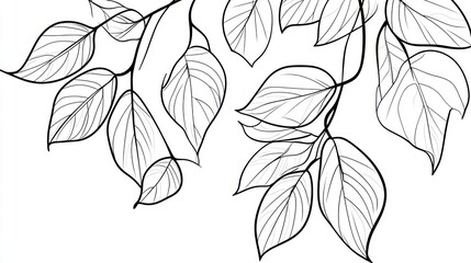 Line art illustration of delicate leaves and branches.