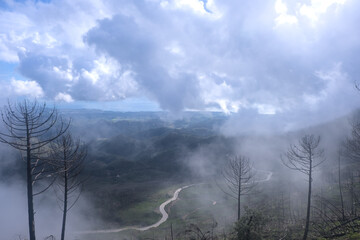 Views of a road through a forest on a cloudy December day in Sierra Bermeja, Estepona, Malaga, Spain