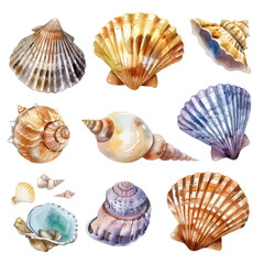 A watercolor drawing of a collection of seashells on the shore, isolated on a white background. Seashells on the shore vector.
