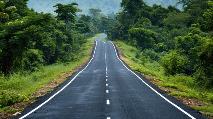 Fototapeta premium Serene Journey Through Lush Green Forest: A Scenic Road Trip