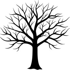 Obraz premium tree, without leaves Silhouette