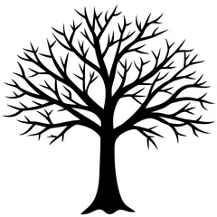 Obraz premium tree, without leaves Silhouette