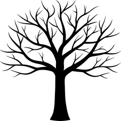 Obraz premium tree, without leaves Silhouette