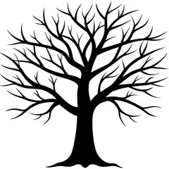 Obraz premium tree, without leaves Silhouette