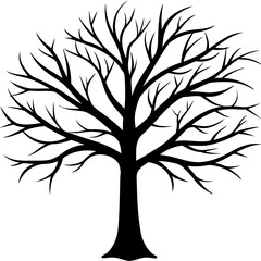 Obraz premium tree, without leaves Silhouette