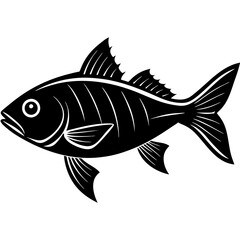 Trout fish silhouette vector illustrator