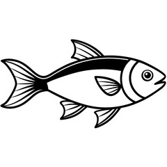 Trout fish line art  vector illustrator 