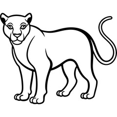 panther line art vector