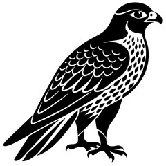 falcon  silhouette vector illustrator 