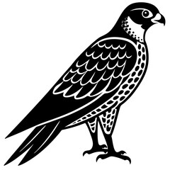 falcon  silhouette vector illustrator 