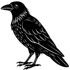 raven silhouette vector illustrator