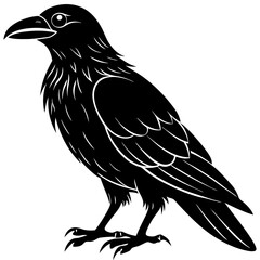 raven silhouette vector illustrator