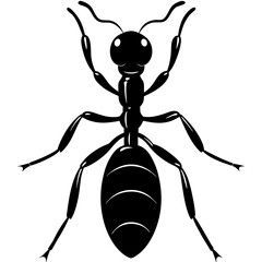 ant silhouette vector illustrator 