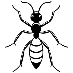ant line art vector 
