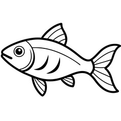 Trout fish line art  vector illustrator 