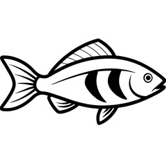 Trout fish line art  vector illustrator 