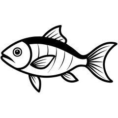 Trout fish line art  vector illustrator 