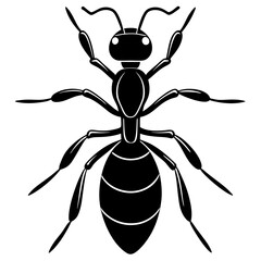 ant silhouette vector illustrator 