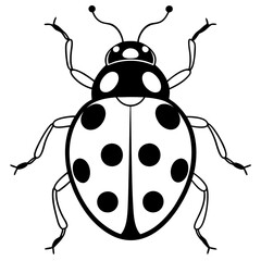 ladybug line art vector