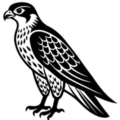 falcon  silhouette vector illustrator 