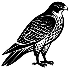 falcon  silhouette vector illustrator 