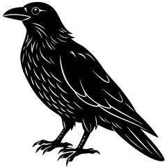raven silhouette vector illustrator