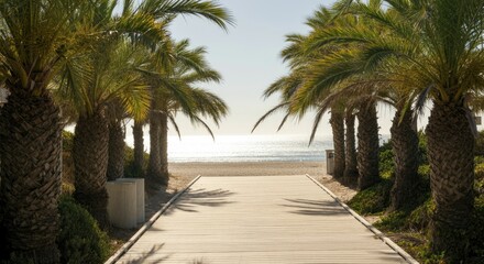 Fototapeta premium Scenic beach pathway lined with palm trees leading to serene ocean view