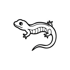 Vector illustration of a salamander